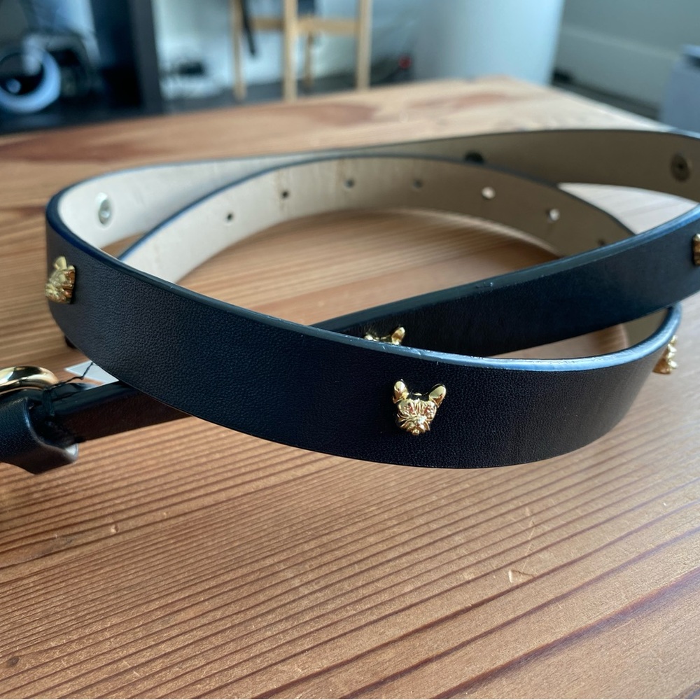 C Wonder Gold Frenchie Studded Black Leather Belt